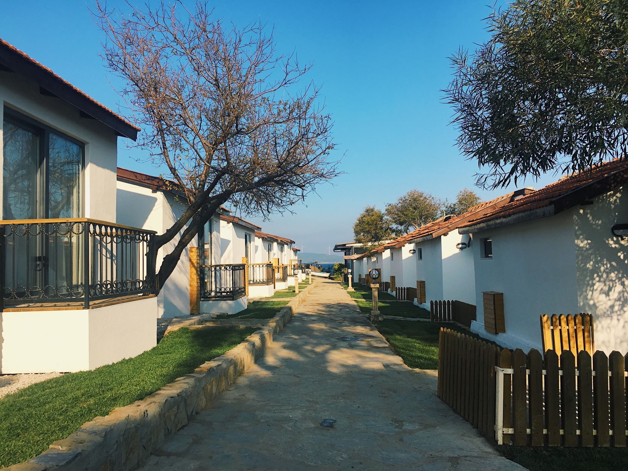 Maya Bistro Hotel & Beach Siğacık Eksteriør bilde